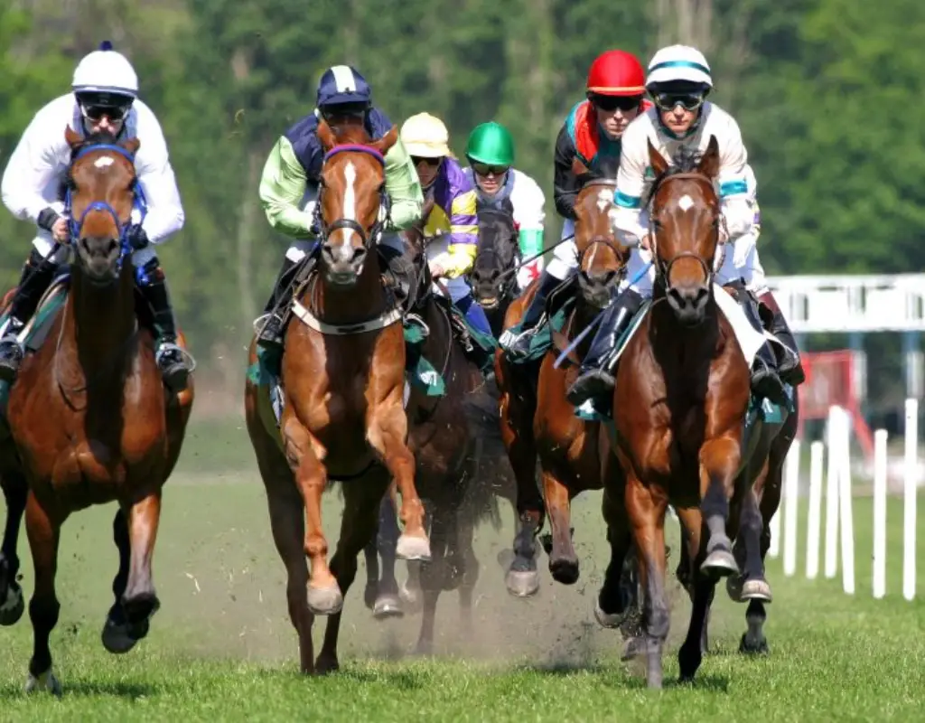 Plainridge Race Course