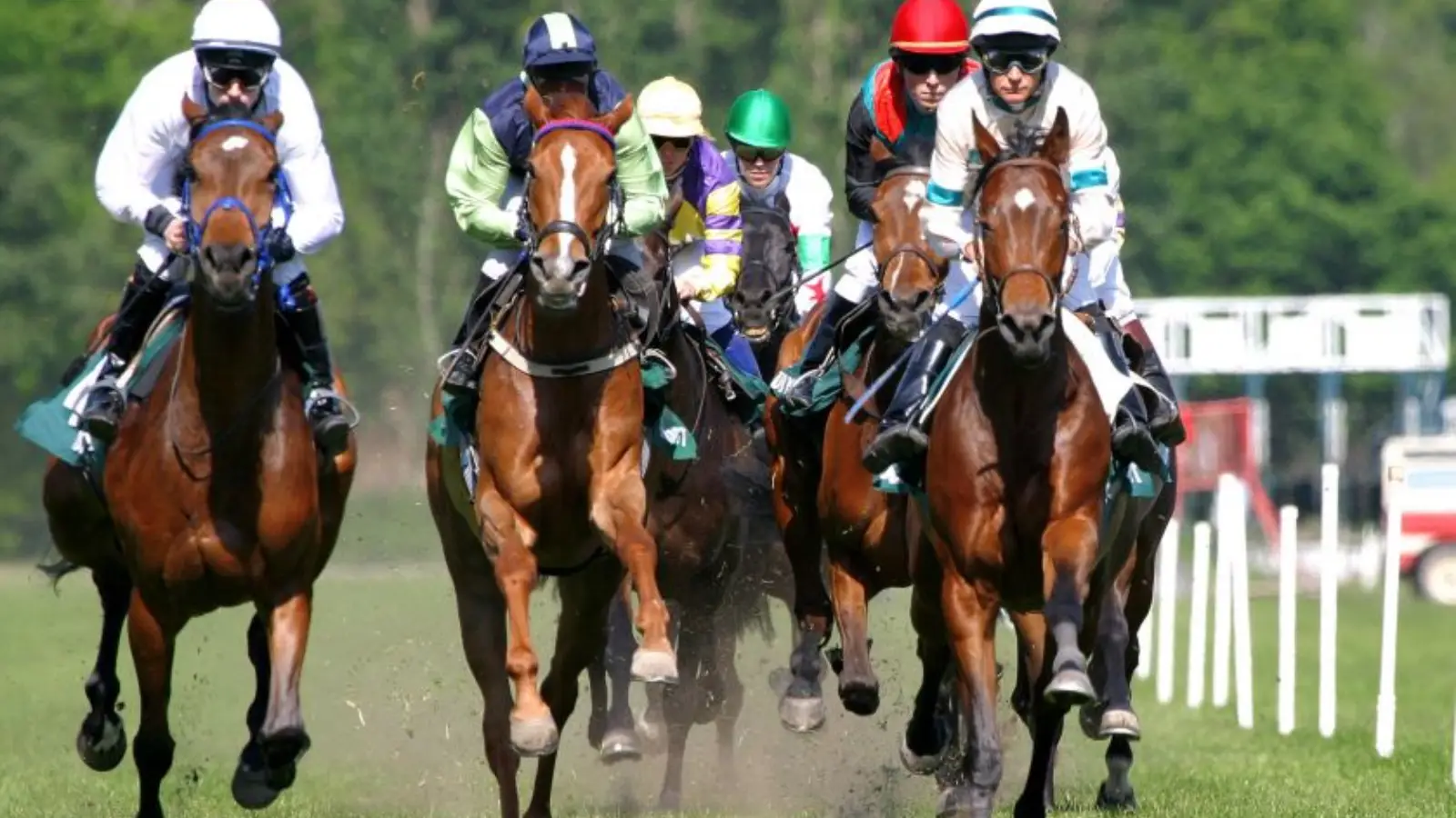 Plainridge Race Course